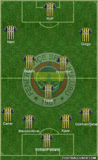 Fenerbahçe SK Formation 2015