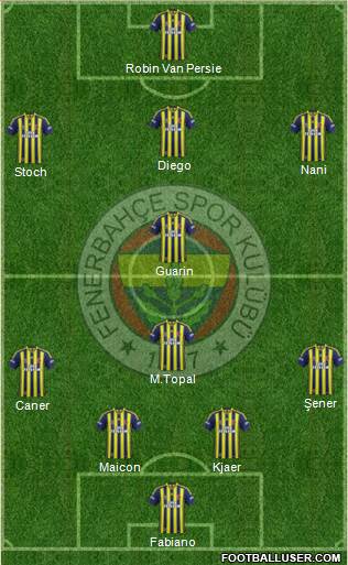 Fenerbahçe SK Formation 2015