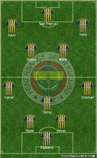 Fenerbahçe SK Formation 2015