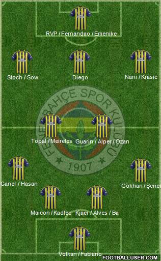 Fenerbahçe SK Formation 2015