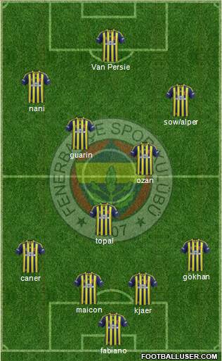 Fenerbahçe SK Formation 2015