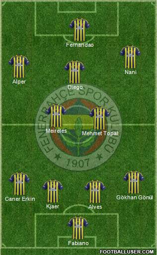 Fenerbahçe SK Formation 2015