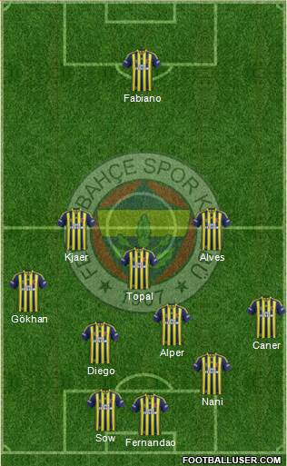 Fenerbahçe SK Formation 2015