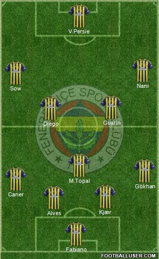 Fenerbahçe SK Formation 2015