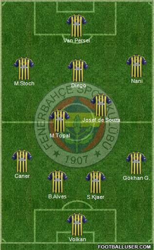 Fenerbahçe SK Formation 2015