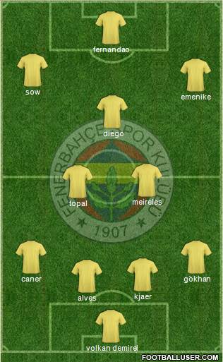 Fenerbahçe SK Formation 2015