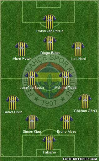 Fenerbahçe SK Formation 2015