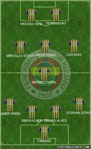 Fenerbahçe SK Formation 2015
