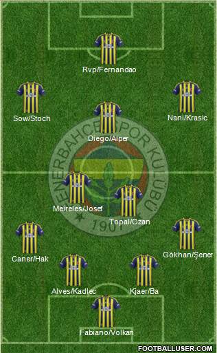 Fenerbahçe SK Formation 2015