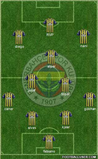 Fenerbahçe SK Formation 2015