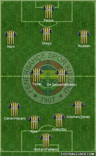Fenerbahçe SK Formation 2015