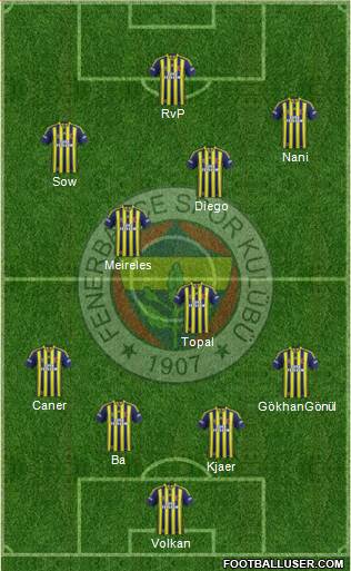 Fenerbahçe SK Formation 2015