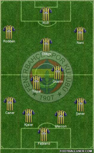 Fenerbahçe SK Formation 2015