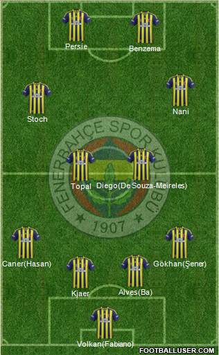 Fenerbahçe SK Formation 2015