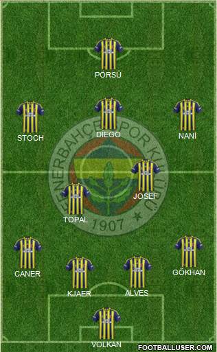 Fenerbahçe SK Formation 2015