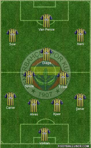 Fenerbahçe SK Formation 2015