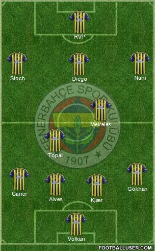Fenerbahçe SK Formation 2015