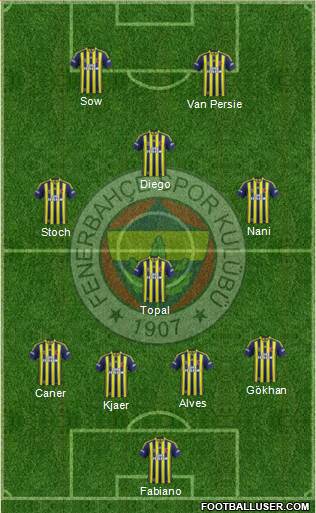 Fenerbahçe SK Formation 2015