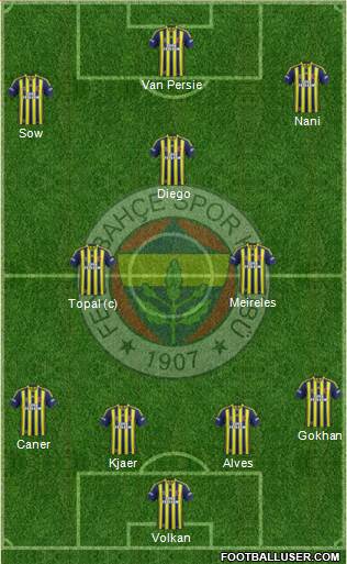 Fenerbahçe SK Formation 2015