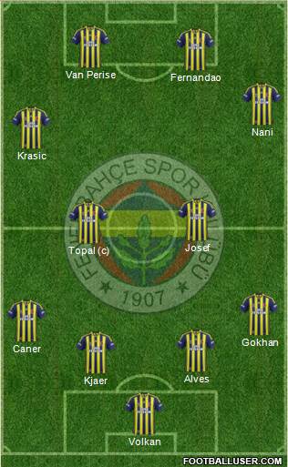 Fenerbahçe SK Formation 2015