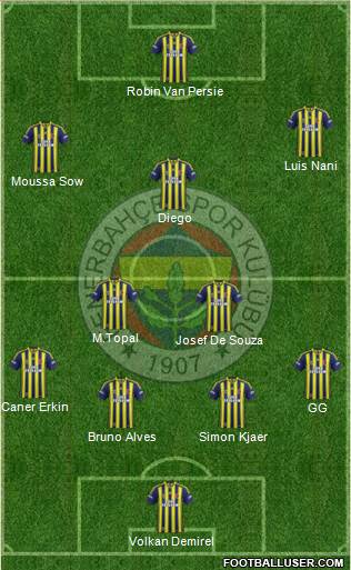 Fenerbahçe SK Formation 2015