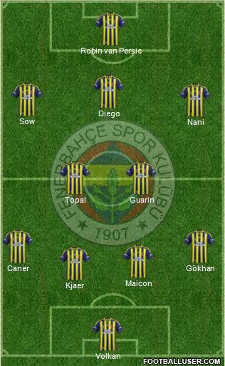Fenerbahçe SK Formation 2015