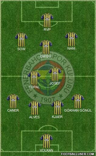 Fenerbahçe SK Formation 2015