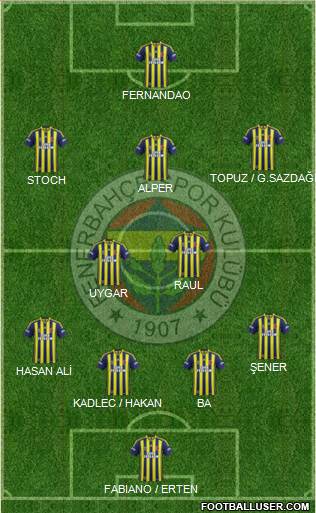 Fenerbahçe SK Formation 2015