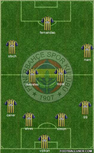 Fenerbahçe SK Formation 2015