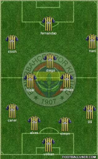 Fenerbahçe SK Formation 2015