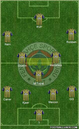 Fenerbahçe SK Formation 2015
