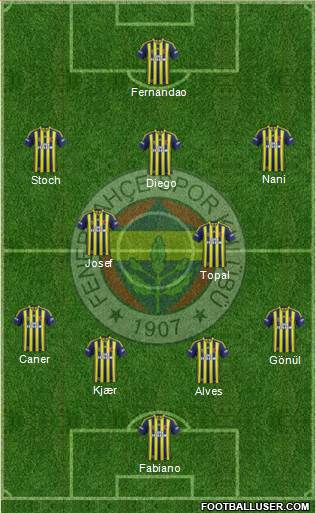 Fenerbahçe SK Formation 2015