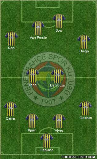 Fenerbahçe SK Formation 2015