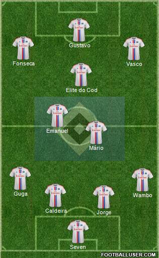 Hamburger SV Formation 2015