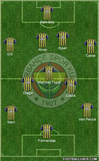 Fenerbahçe SK Formation 2015