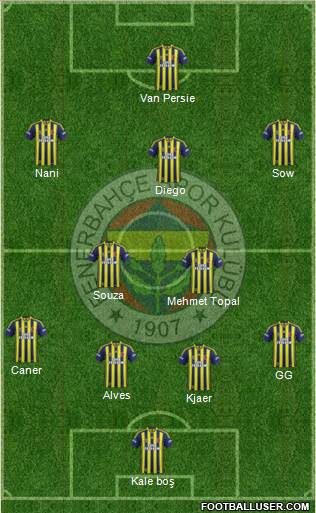 Fenerbahçe SK Formation 2015