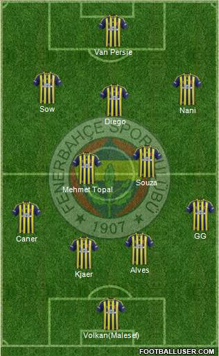Fenerbahçe SK Formation 2015