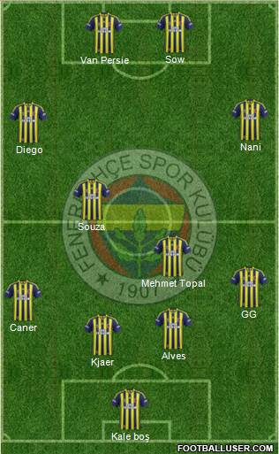 Fenerbahçe SK Formation 2015