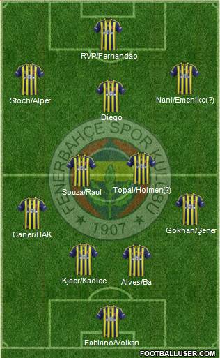 Fenerbahçe SK Formation 2015