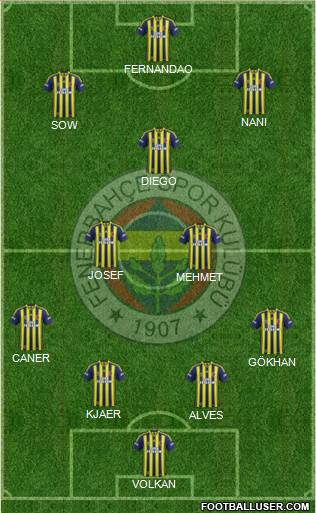 Fenerbahçe SK Formation 2015