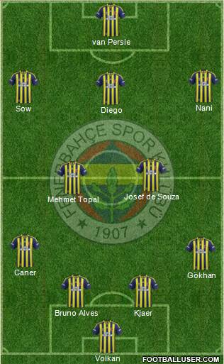 Fenerbahçe SK Formation 2015