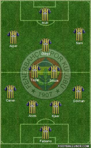 Fenerbahçe SK Formation 2015