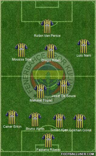 Fenerbahçe SK Formation 2015