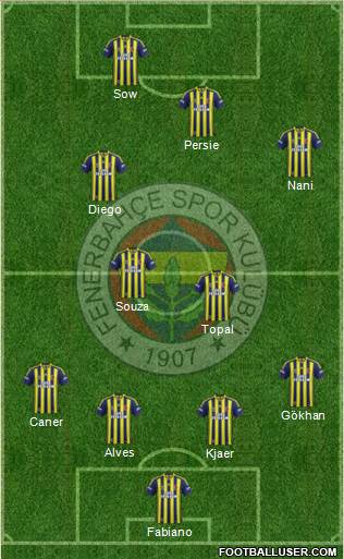 Fenerbahçe SK Formation 2015