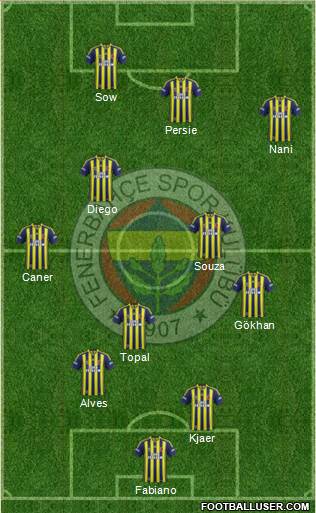 Fenerbahçe SK Formation 2015