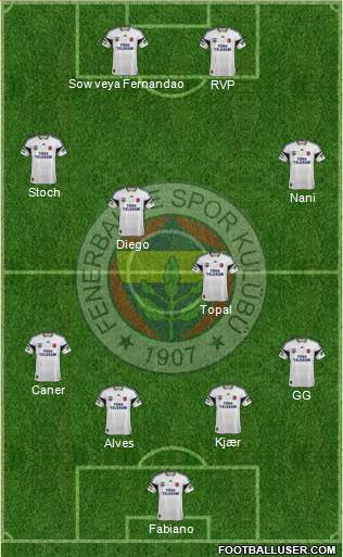 Fenerbahçe SK Formation 2015