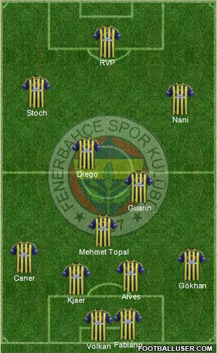 Fenerbahçe SK Formation 2015