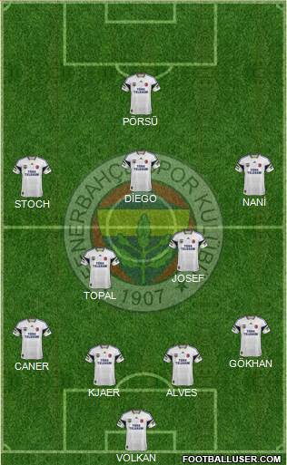 Fenerbahçe SK Formation 2015