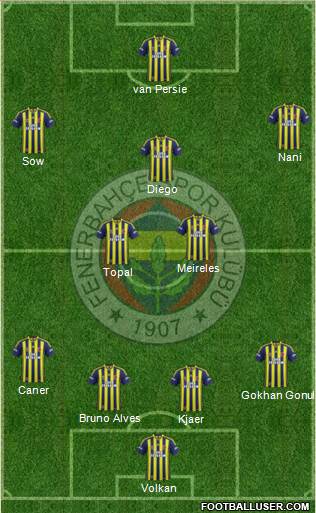 Fenerbahçe SK Formation 2015