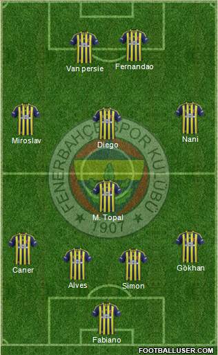 Fenerbahçe SK Formation 2015